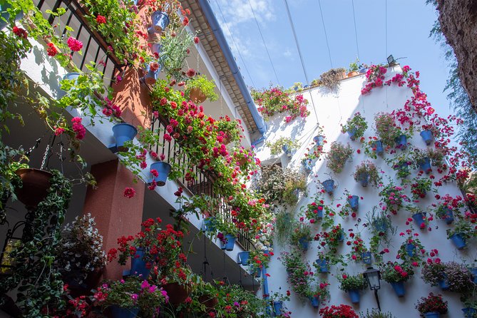 Walking Tour of the Patios of San Basilio in Cordoba - Wine Tasting Experience