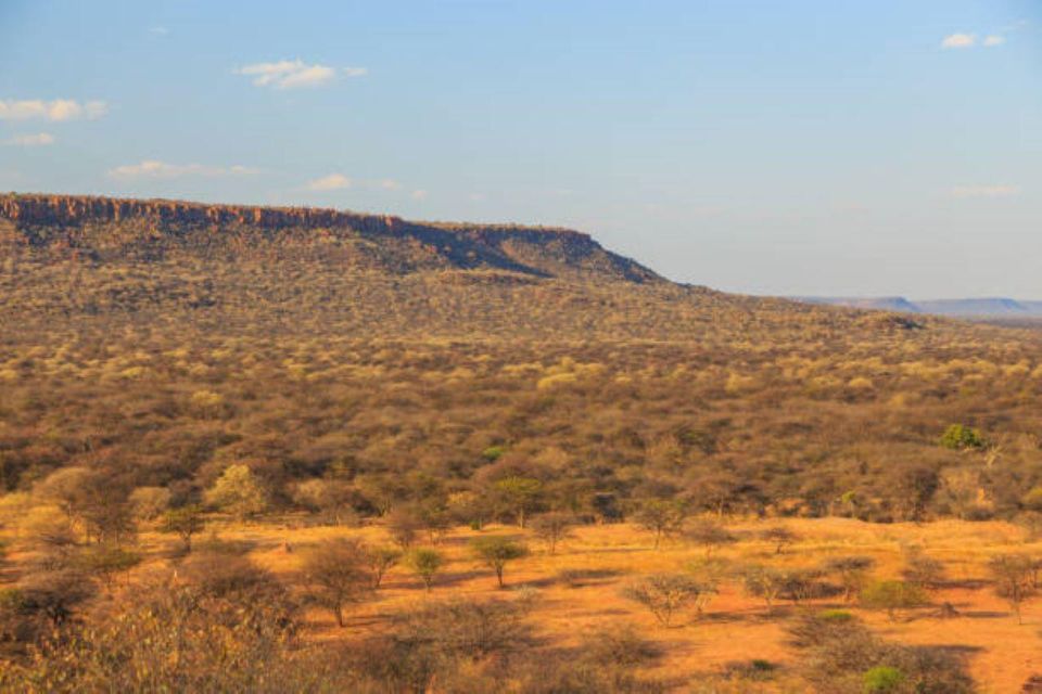 WaterBerg (Bela Bela) 3 Days Experiences - Day 3: Conservation Initiatives and Wildlife Encounters