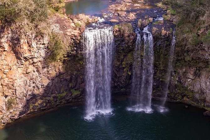 Waterfall, Rainforest & Winery Discovery Tour: Coffs Harbour - Tour Reviews