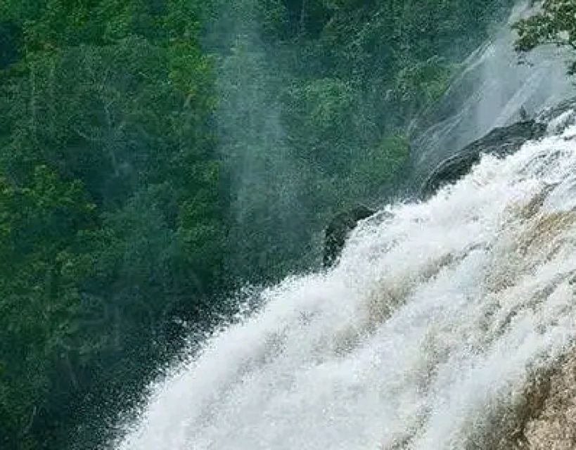 Waterfalls of Athirapply or Areekal Tour for 1 to 8 People. - Tour Highlights and Sightseeing