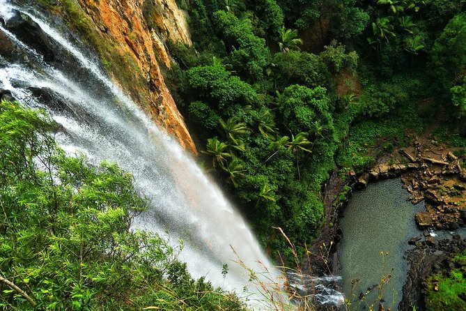 Waterfalls & Rainforest Tour: Surfers Paradise (Mar ) - Inclusions