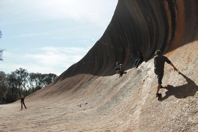 Wave Rock, Pinnacles and Rottnest One Day Aeroplane Tour - Inclusions and Exclusions