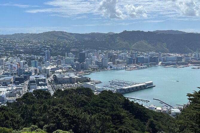 Wellington Half Day Private Tour in Electric Tesla SUV - Tour Highlights