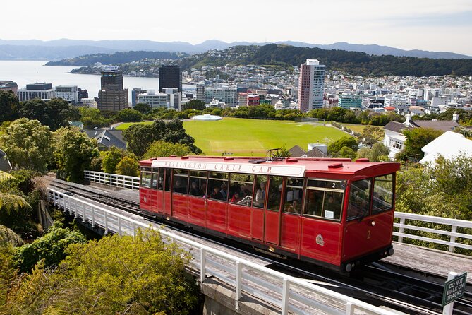 Wellington Shore Excursion City Sightseeing Tour - Tour Host Insights