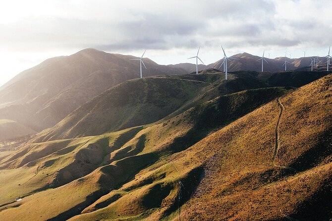 Wellington South Coast Discovery Helicopter Flight - Customer Reviews