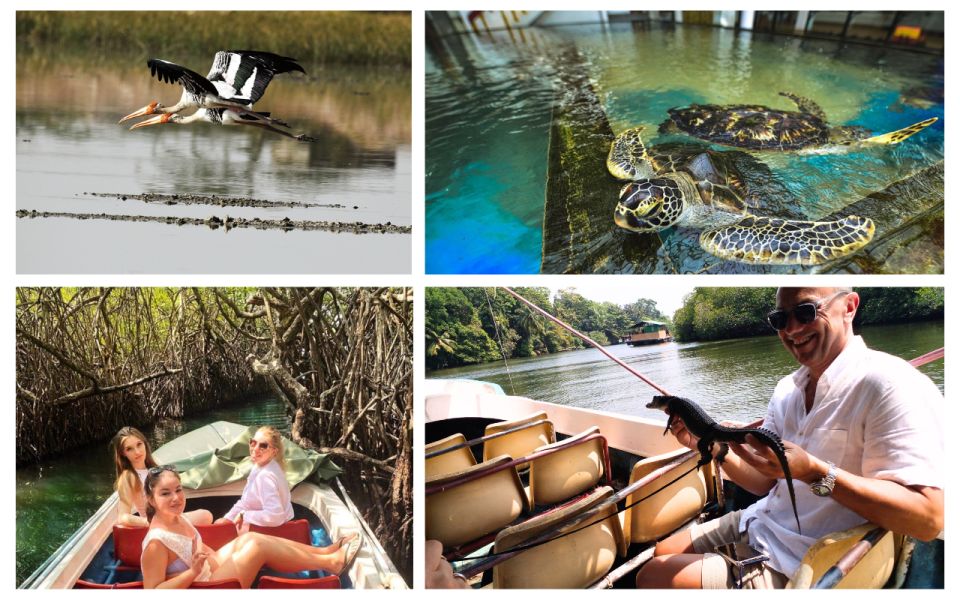 West Coast Beach, River Mangroves Lagoon, Wildlife Boat Tour - Importance of Mangrove Ecosystem