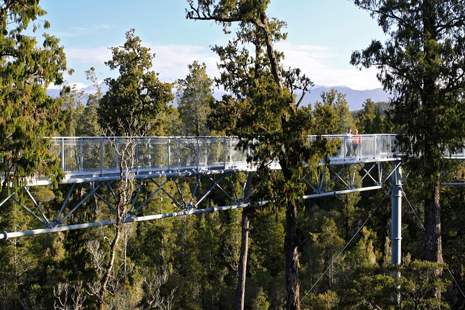 West Coast Tree Top Walk Experience - Reviews