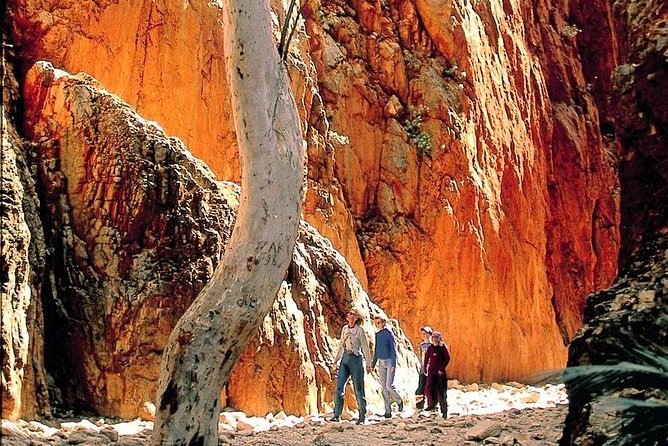West Macdonnell Ranges Day Trip From Alice Springs - Additional Information