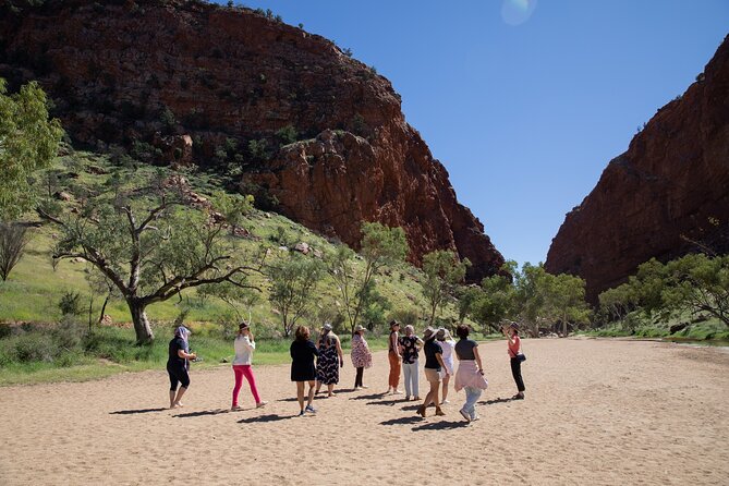 West Macdonnell Ranges & Standley Chasm Day Trip From Alice Springs - Traveler Assistance