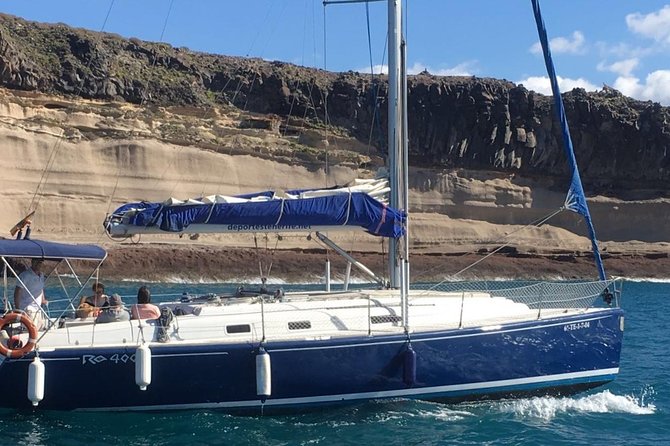 Whale and Dolphin Watching Sailing Boat With Drinks, Snacks and Swimming Time - Passenger Testimonials