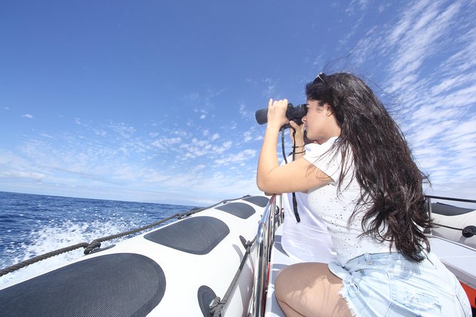 Whale Watching and Marine Science Tour - Cancellation Policy