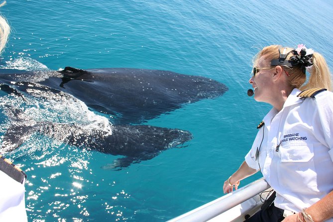 Whale Watching Cruise From Redcliffe, Brisbane or the Sunshine Coast - Food Quality