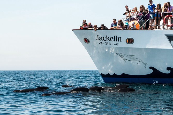 Whale Watching - Capturing Memorable Moments