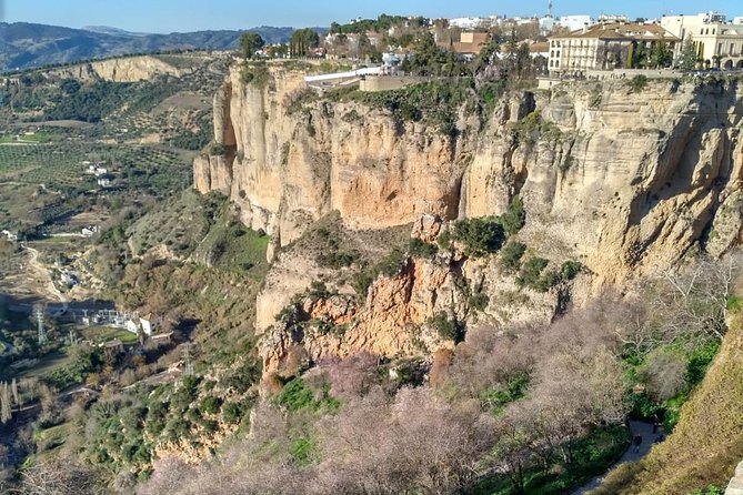 White Villages and Ronda Guided Day Tour From Seville - Tour Logistics Feedback