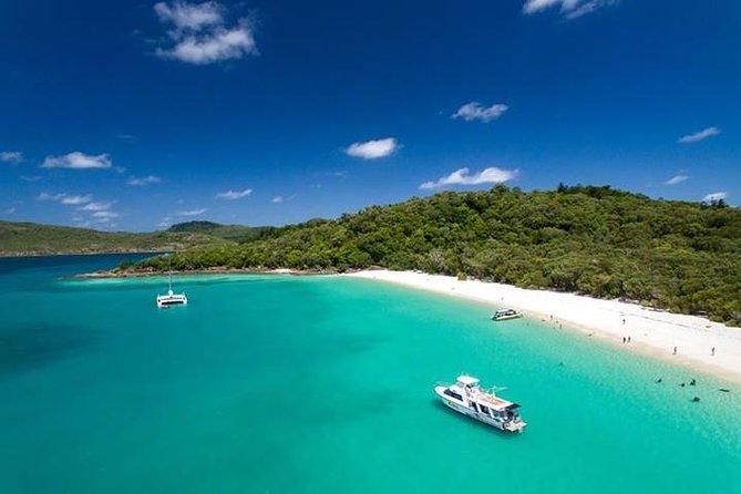 Whitehaven Beach and Hill Inlet Day Tour Aussie Beach BBQ Family Friendly - Meeting Point and Logistics