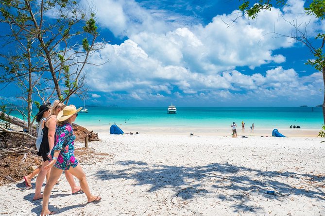 Whitehaven Beach Half-Day Cruises - Weather Concerns