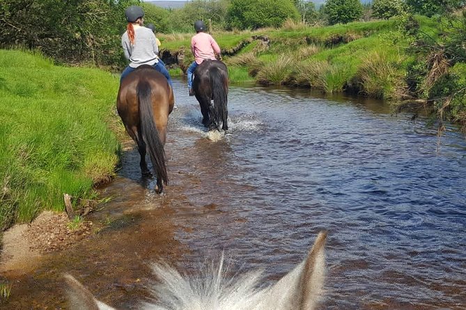 Wicklow Monutains Horse Trekking - Cancellation Policy