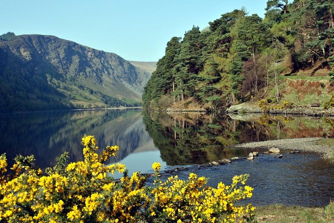 Wicklow Tour of Glendalough - Visit to Avoca Village