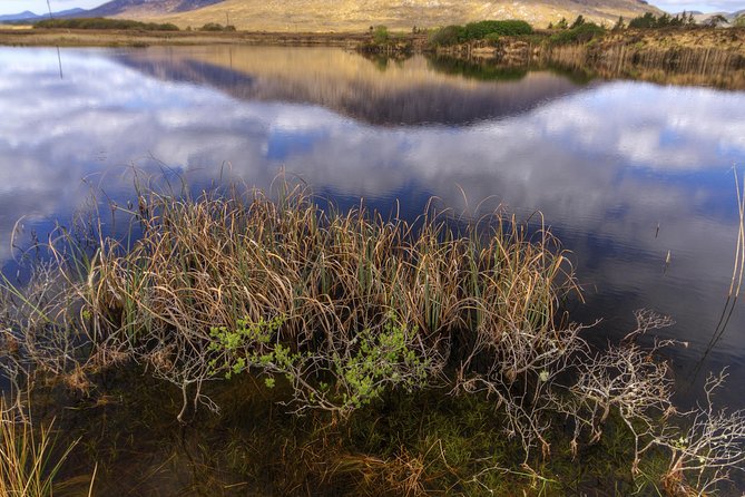 Wild Atlantic Way Self Guided Bike Tour From Clifden - Requirements and Expectations