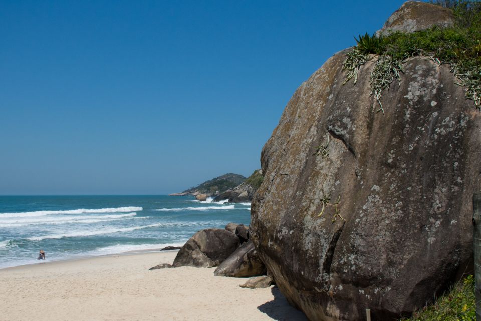 Wild Beaches and Brazilian Rum Farm With a Photographer - Photography Experience