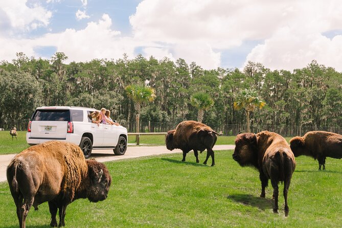 Wild Florida Drive-Thru Safari and Gator Park Admission - Booking Details and Policies
