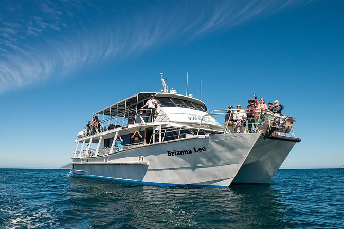 Wilsons Prom Whale Cruise - Cancellation Policy and Reviews