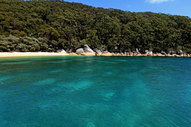 Wilsons Promontory Full Day Cruise - Traveler Experience