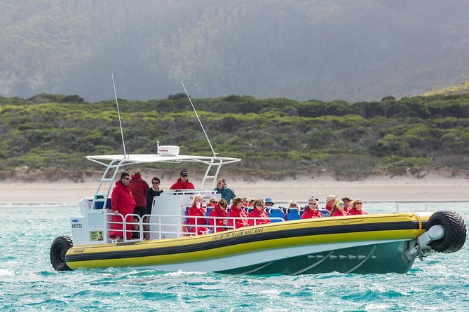 Wilsons Promontory Wilderness Cruise From Tidal River - Cancellation and Refund Policies