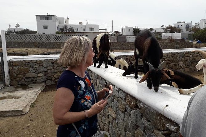 Wine Tasting Tour at a Traditional Farm in Mykonos - Expertise and Recommendations