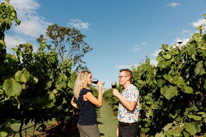 Wine Tasting Tour to Tamborine Mountain - Guides and Capacity