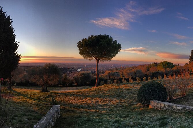 Wine Tasting With Panoramic View of Verona - Reviews