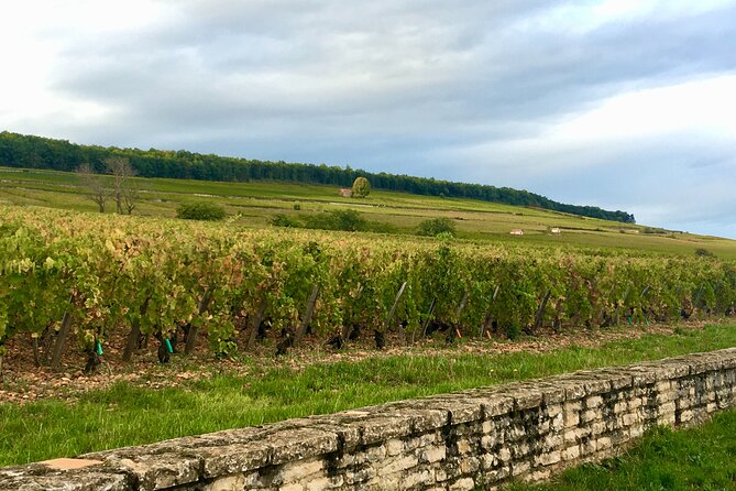 Wine Tour - Aloxe-Corton, Its Great Wines - Cultural and Historical Highlights