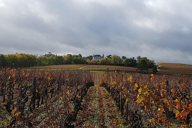 Wine Tour in Medoc With Coffee Break - Additional Information