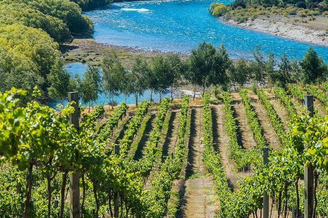 Wine Tour With Wine Tasting From Wanaka - Tasting Experience