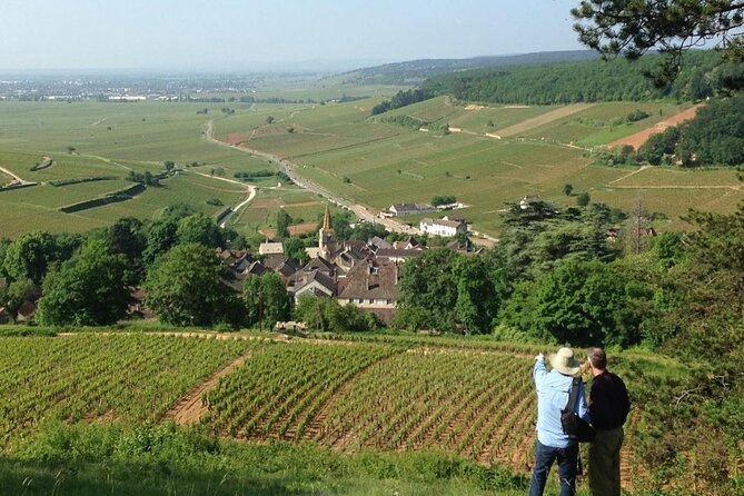 Wine Walking Tour Through the Burgundian Vineyards - 2h - Local Wine Production