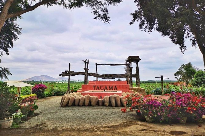 Winery and Pisco Distillery Tour - Traveler Resources