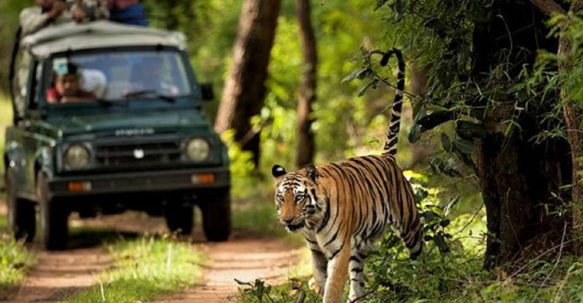 Wonders of Wildlife: 4-Day Chitwan National Park Tour - Rapti River Adventure