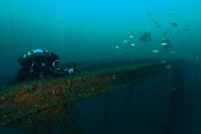 Wreck and Bridge Span Dive Charter for Certified Divers - Meeting and Logistics