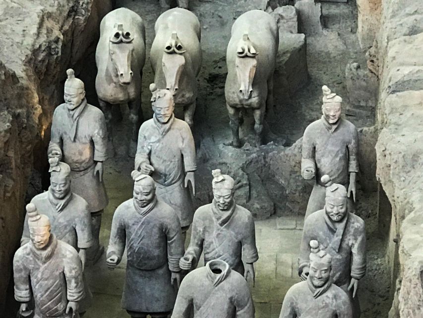 Xi'an: Terra-cotta Army Museum Half Day Tour - Booking Information