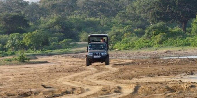 Yala: All-Inclusive Off-Road Adventure From Hambantota - Description