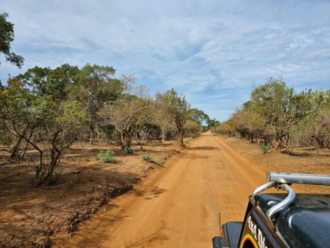 Yala National Park Wildlife Safari From Galle - Full Description of Yala National Park