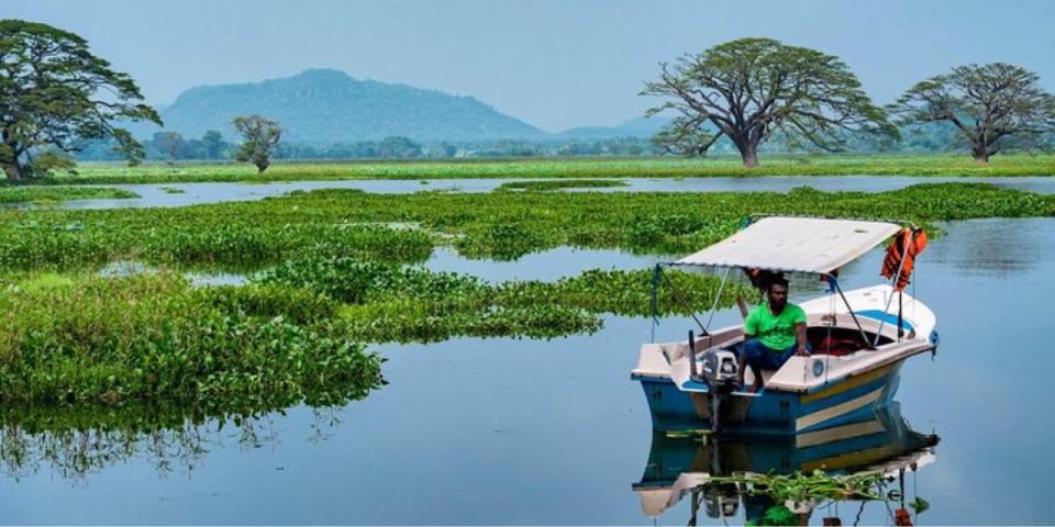 Yala: Sunset Tour by Boat & Beach BBQ Dinner! - Preparation and Logistics