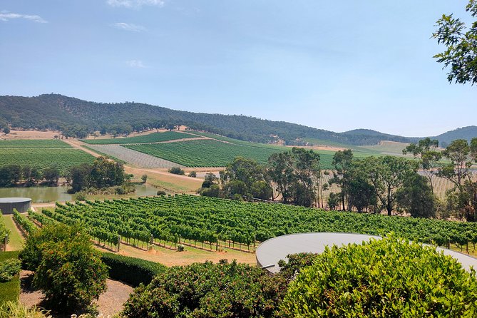 Yarra Valley Wine Tour (Small Groups) - Participant Requirements