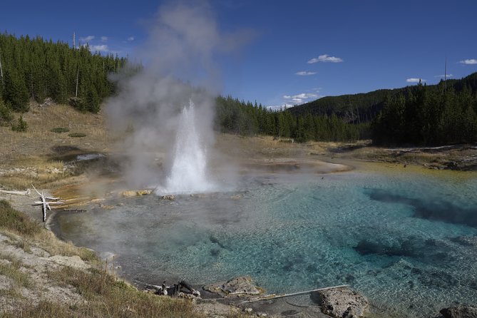 Yellowstone Full Day Private Tour - Customer Reviews