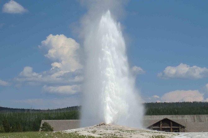 Yellowstone National Park - Full-Day Lower Loop Tour From Jackson - Inclusions and Logistics