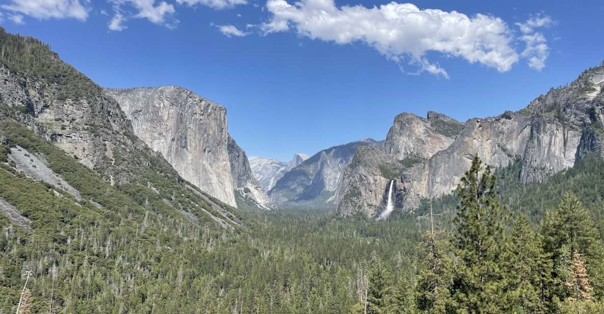 Yosemite, Giant Sequoias, Private Tour From San Francisco - Inclusions