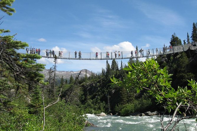 Yukon Suspension Bridge and Summit Tour - Booking and Cancellation Policy