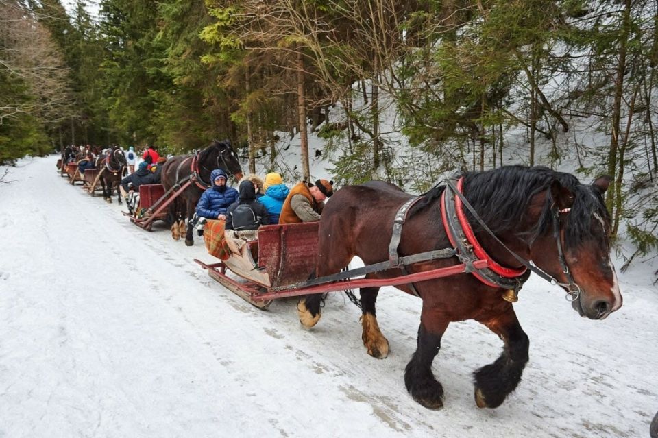 Zakopane and Sleigh Ride With Transfers and Lunch Option - Full Description