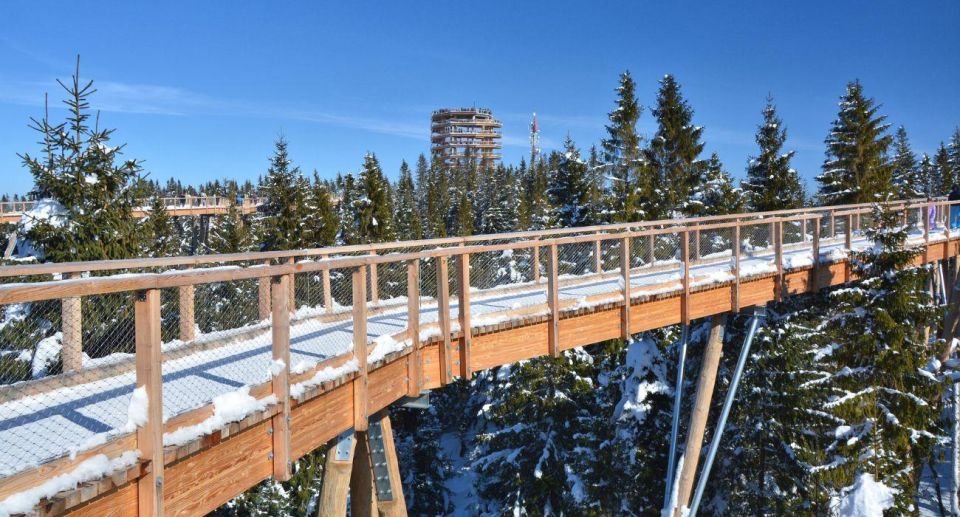 Zakopane: Bachledka Treetop Walk and Strbske Pleso Tour - Participant Selection and Date