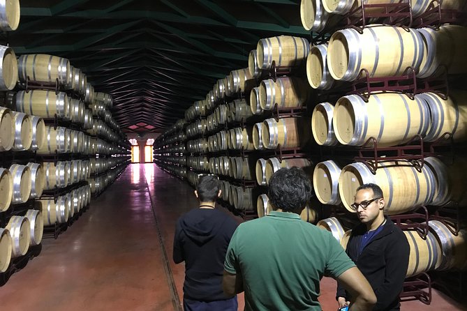 Zaragoza to Cariñena Wineries Full-Day Private Tour - Pricing and Assistance